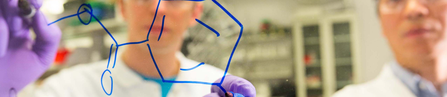 Des scientifiques dessinent des molécules sur un tableau blanc